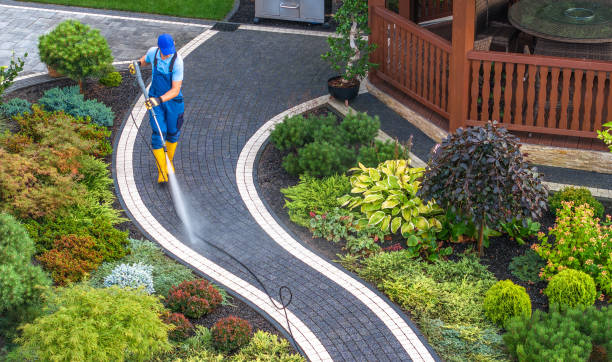 Best Pressure Washing Near Me  in San Juan Bautista, CA