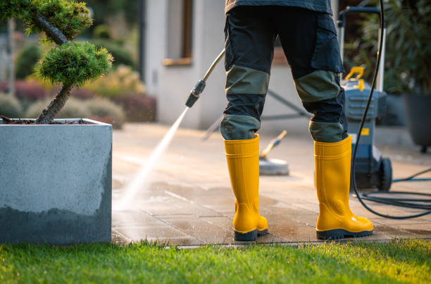 Best Exterior Home Cleaning  in San Juan Bautista, CA